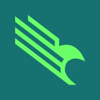 RevHawk logo - Similar company to Bonrue Bakery