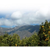 Law Offices of Parker & Irwin logo - Similar company to Adp Hawaii