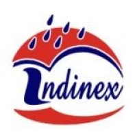 Indinex logo - Similar company to Max Design Consultancy