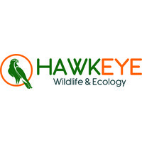 Hawkeye Wildlife & Ecology logo - Similar company to Thriive