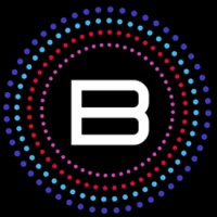 Brush Cyber logo - Similar company to Blueberry Security