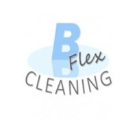 Bflex Cleaning BV logo - Similar company to Tokenbridge.App