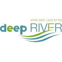 deep RIVER logo - Similar company to Ai Verse
