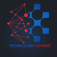 Technology Wings logo - Similar company to Vertex It Systems
