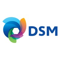 DSM Austria GmbH (former ERBER Group) logo - Similar company to Capitallia