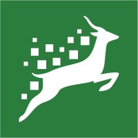 Springbok Digital, Inc. logo - Similar company to Findology Interactive Media, Inc.