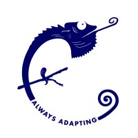 Independent Advisors - Private Clients logo - Similar company to Debtstream