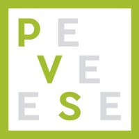 PVS AGENCIA logo - Similar company to Mulatta Creative Studio