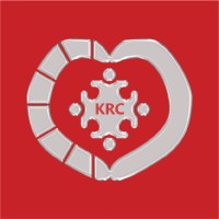 Karazanashvili Robotic Center • ქარაზანაშვილის რობოტული ცენტრი logo - Similar company to Game54