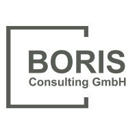 BORIS Consulting GmbH logo - Similar company to Markending