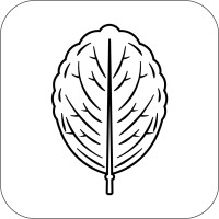 Pradeep Lodh Label logo - Similar company to Pikziy Studio