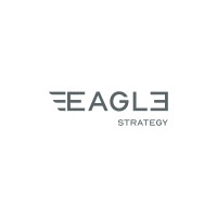 Eagle Strategy logo - Similar company to Dsa Academy