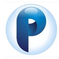 PARADIGM TECHSOLUTIONS logo - Similar company to Dolphin Data Capture