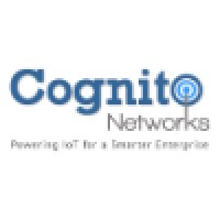 Cognito Networks