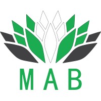 MAB Digital Marketing logo - Similar company to Kcommerce