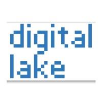 Digital Lake Inc. logo - Similar company to Vigilant Secure Technologies, Llc