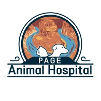 Page Animal Hospital