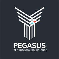 Pegasus Technology Solutions logo - Similar company to Möbius Partners