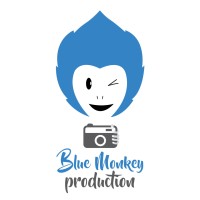 BlueMonkey Production logo - Similar company to Creativebuddyz