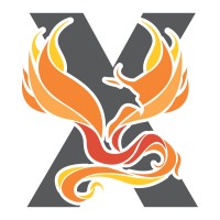 Fenix DFA logo - Similar company to Ever11