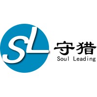 Soul Leading Consulting logo - Similar company to Healthcare Engineering (Pvt) Ltd