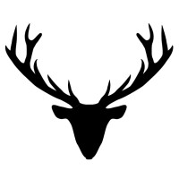 Stern & Wild Ltd logo - Similar company to Screen Devon Limited