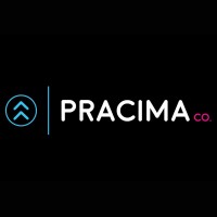 PraCima Company logo - Similar company to Lsb
