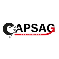 CAPSAG Performance logo - Similar company to Start-Up-Support.De