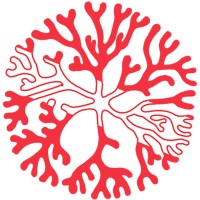 Aquarium Divers For Coral (ADFC) logo - Similar company to Soloceans, Llc