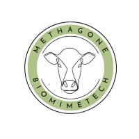 MethaGone logo - Similar company to Infinity Startup Gmbh