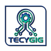 TECYGIG  Services  (Web Development | Digital Marketing | SEO) logo - Similar company to Namaami Web Development Company