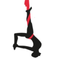 Aerial Yoga Berlin logo - Similar company to Athleticum® Fitness