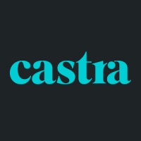 Castra Financial logo - Similar company to Connected Cms Webbyrå Ab