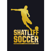 Shatliff Soccer logo - Similar company to Image Industries, Inc