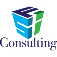 FSI Consulting logo - Similar company to Tachi
