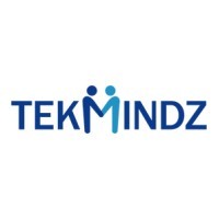 Samin TekMindz India Pvt. Ltd. logo - Similar company to Tek Minds Llc