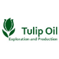 Tulip Oil logo - Similar company to One-Dyas