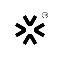 visuelso logo - Similar company to Voltrasoft Software Sollutions