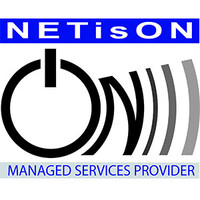 NETisON logo - Similar company to Netision Technology