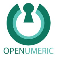 OpeNumeric logo - Similar company to Sun Telecom