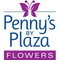 Penny's by Plaza Flowers logo - Similar company to Vault + Vine