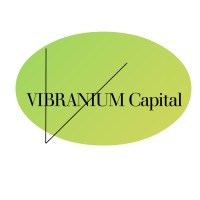 VIBRANIUM Capital logo - Similar company to Frontier Business Advisory Limited