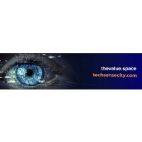 thevaluespace logo - Similar company to Maxiality