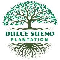 Dulce Sueño Plantation logo - Similar company to Live It Cannabis Pr