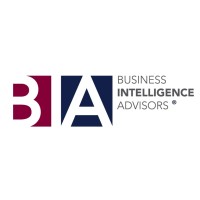 Business Intelligence Advisors, Inc. logo - Similar company to Elevate With Tariq