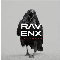 RavenX Ventures logo - Similar company to Yonkers Kia