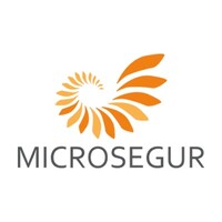 MICROSEGUR UK | Advanced Security Solutions logo - Similar company to Grupo Microsegur
