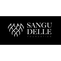 Sangu Delle Foundation logo - Similar company to Carepoint