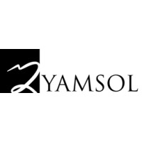 YAMSOL logo - Similar company to Codehive