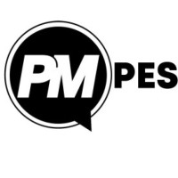 Pesamatrix Limited logo - Similar company to Snobole Software Limited